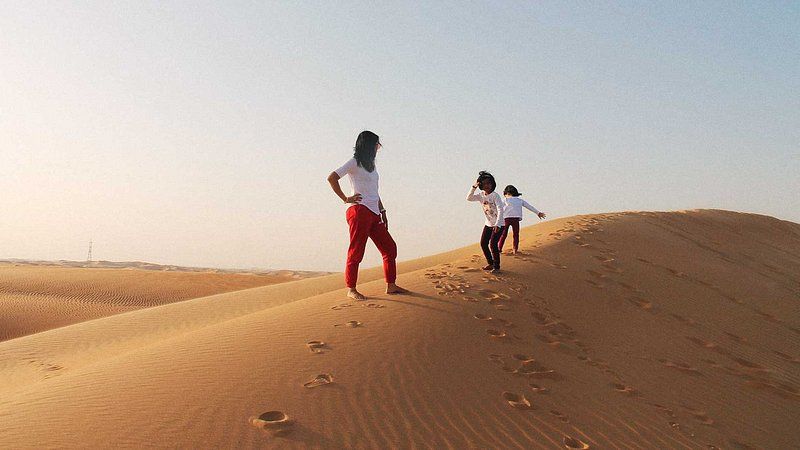 Sand dune of Liwa Oasis