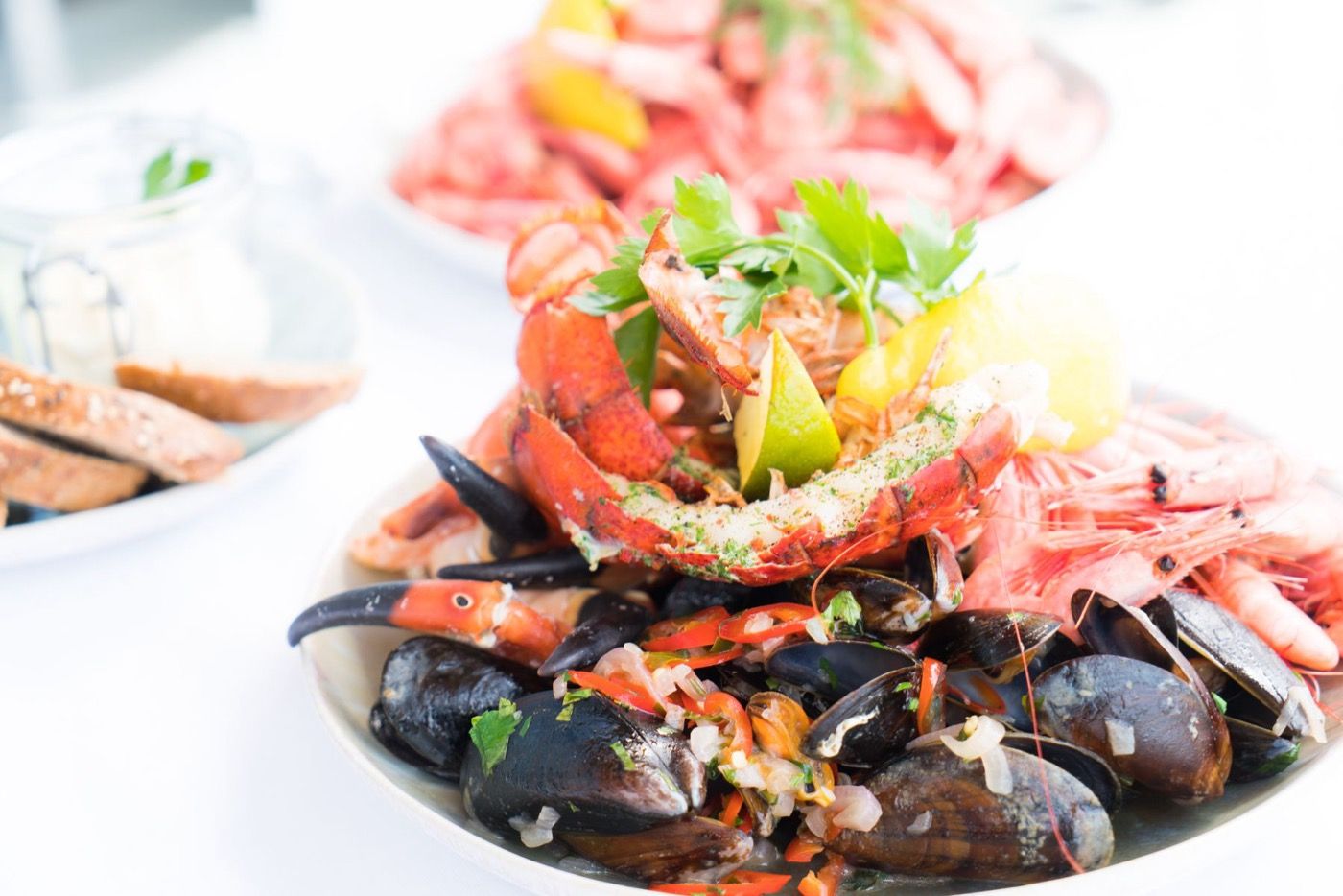 Top 10 Seafood in Portugal – Sohaib Zafar Ansari