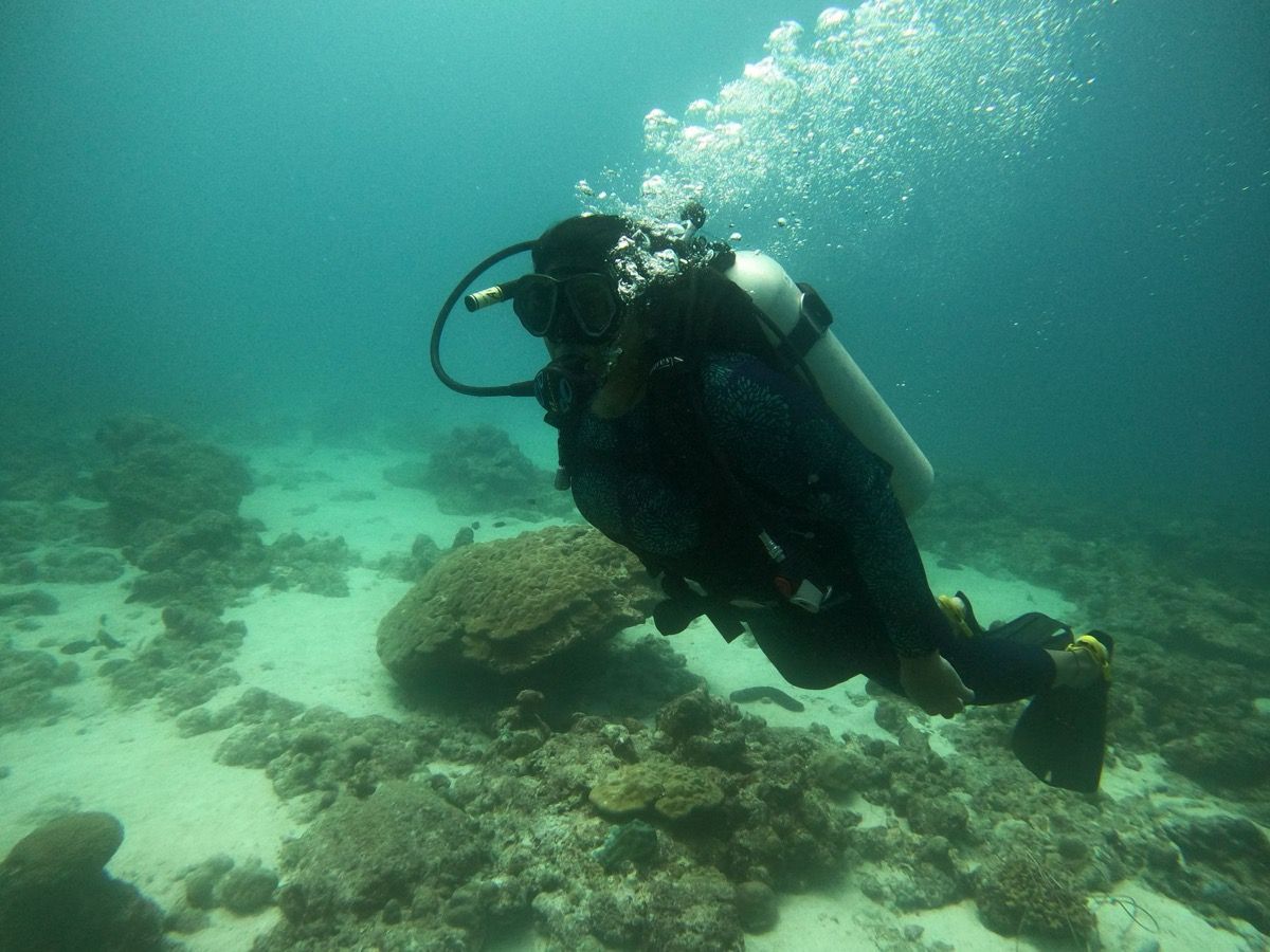 Plongée sous-marine à Goa : une aventure sous-marine inoubliable