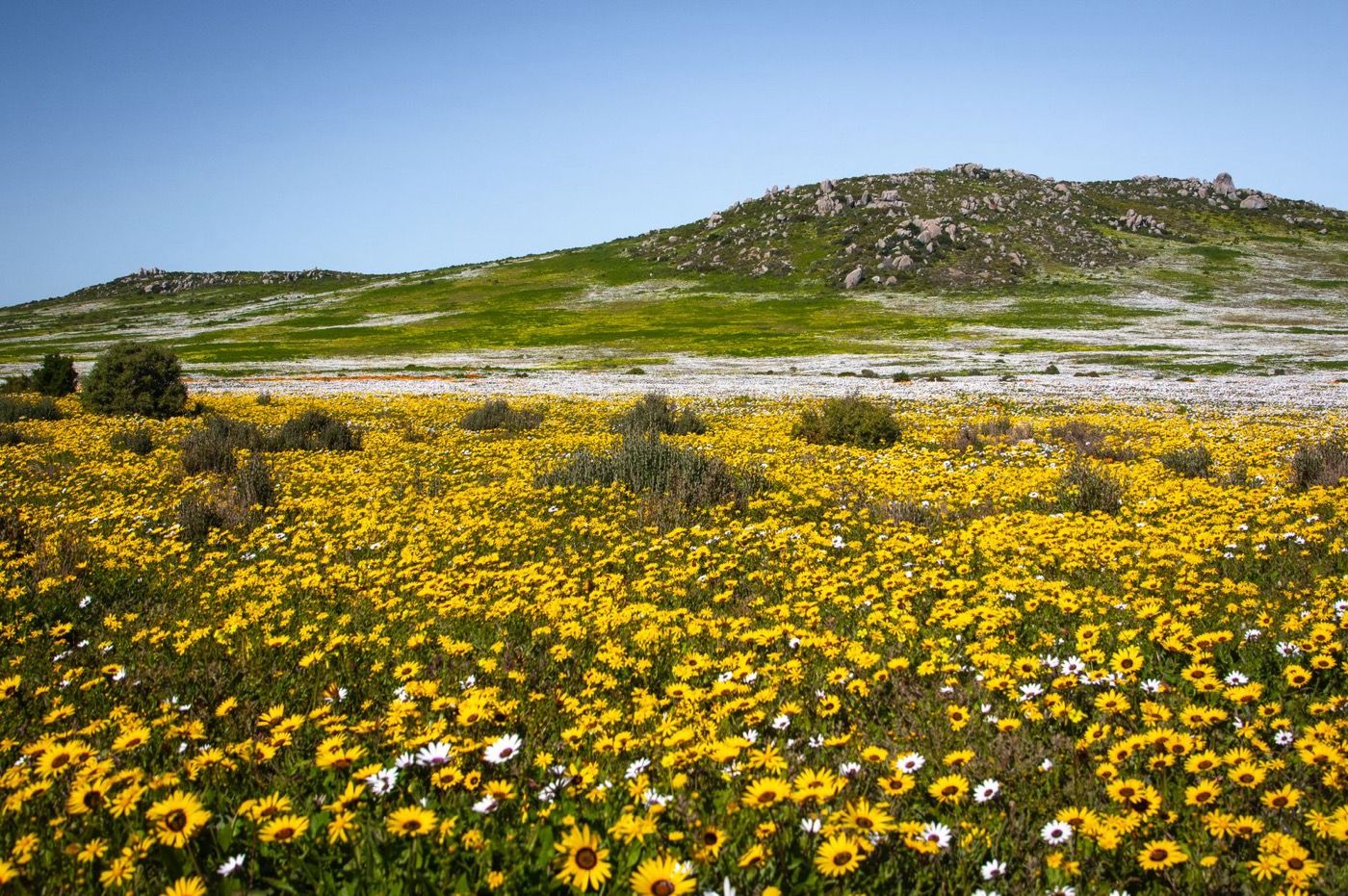 Goegap Nature Reserve - Africa Wild