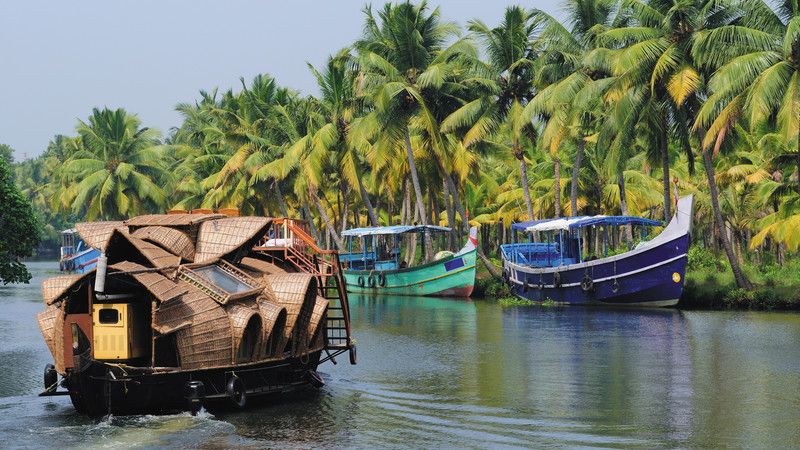 Kerala Travel Guide: 5 Reasons to Visit the South India Gem | Intrepid Travel Blog