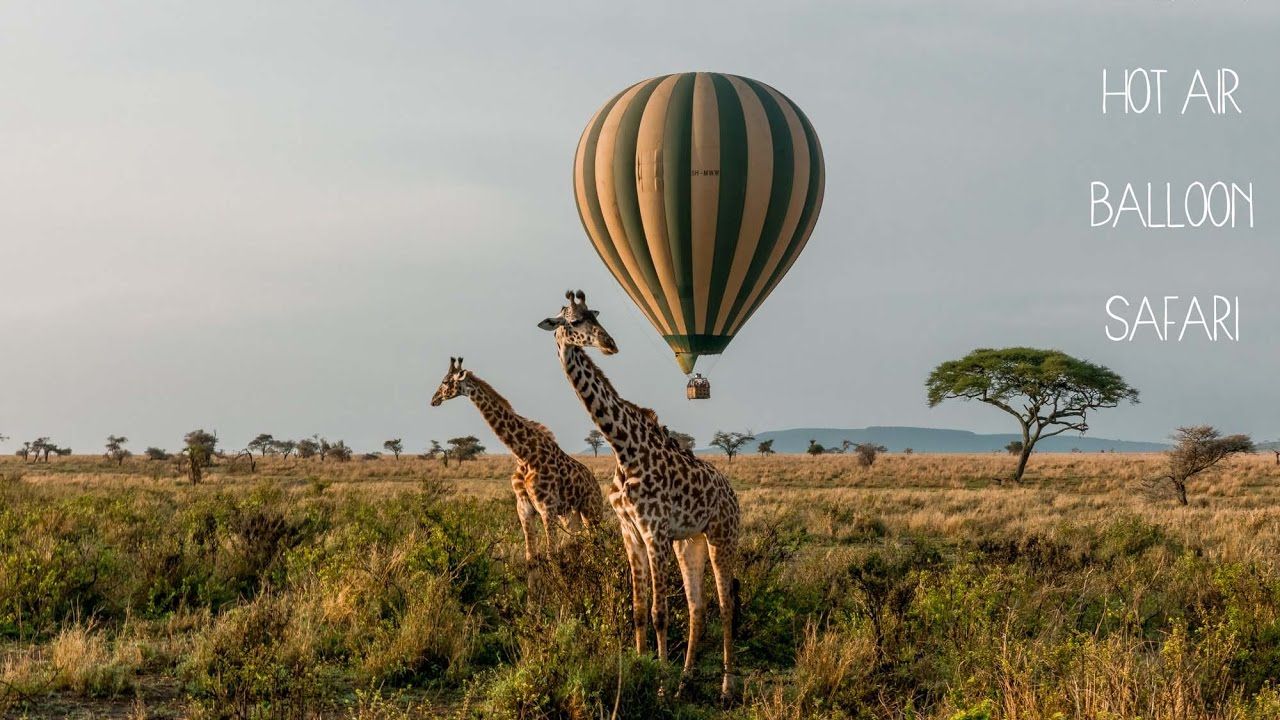 Serengeti Hot Air Balloon Safari - YouTube