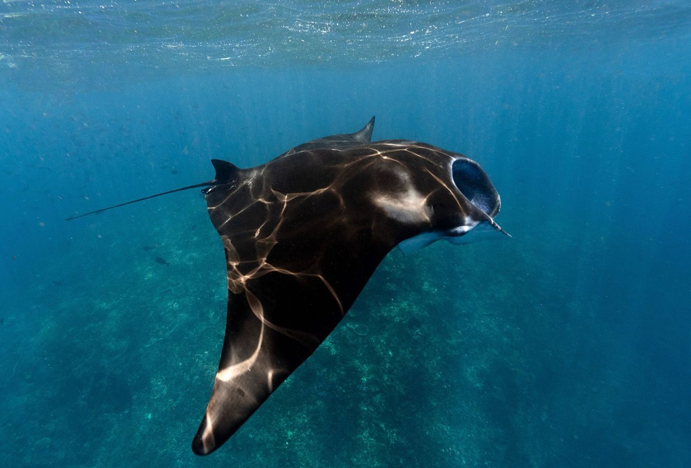 Manta Ecuador Pros & Cons | AmeliaAndJP.com