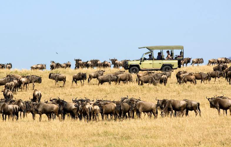 Tanzania Safari Destinations - Serengeti Safari in Tanzania